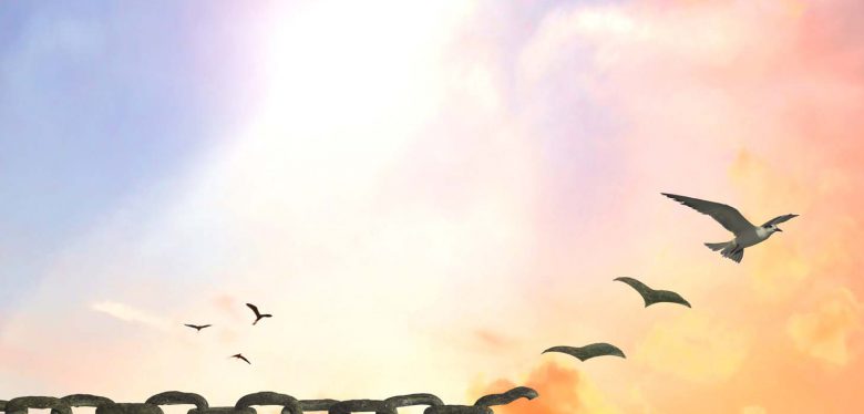 349x251-Freedom