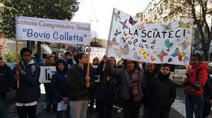 bovio colletta 2