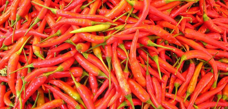 chilli-pepper-449_1280