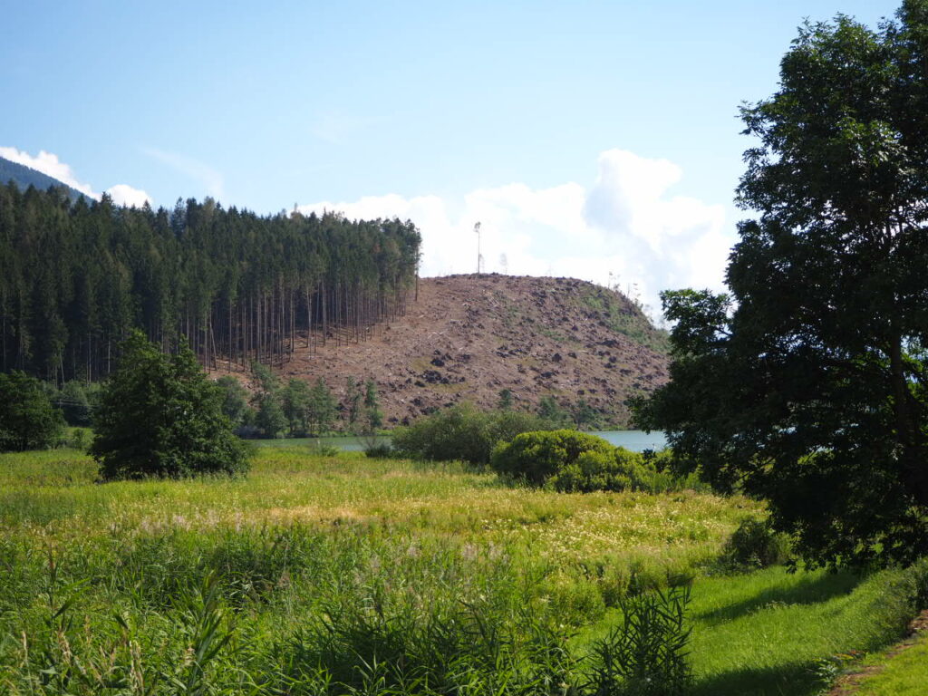 Paesaggio soleggiato senza alberi